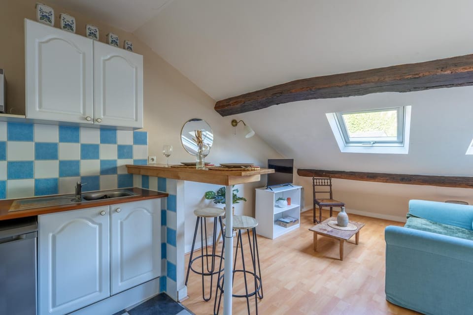 Le Grenier - Blois hyper centre Apartment in Blois
