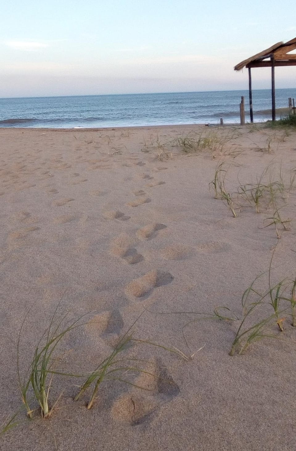 Natural landscape, Beach
