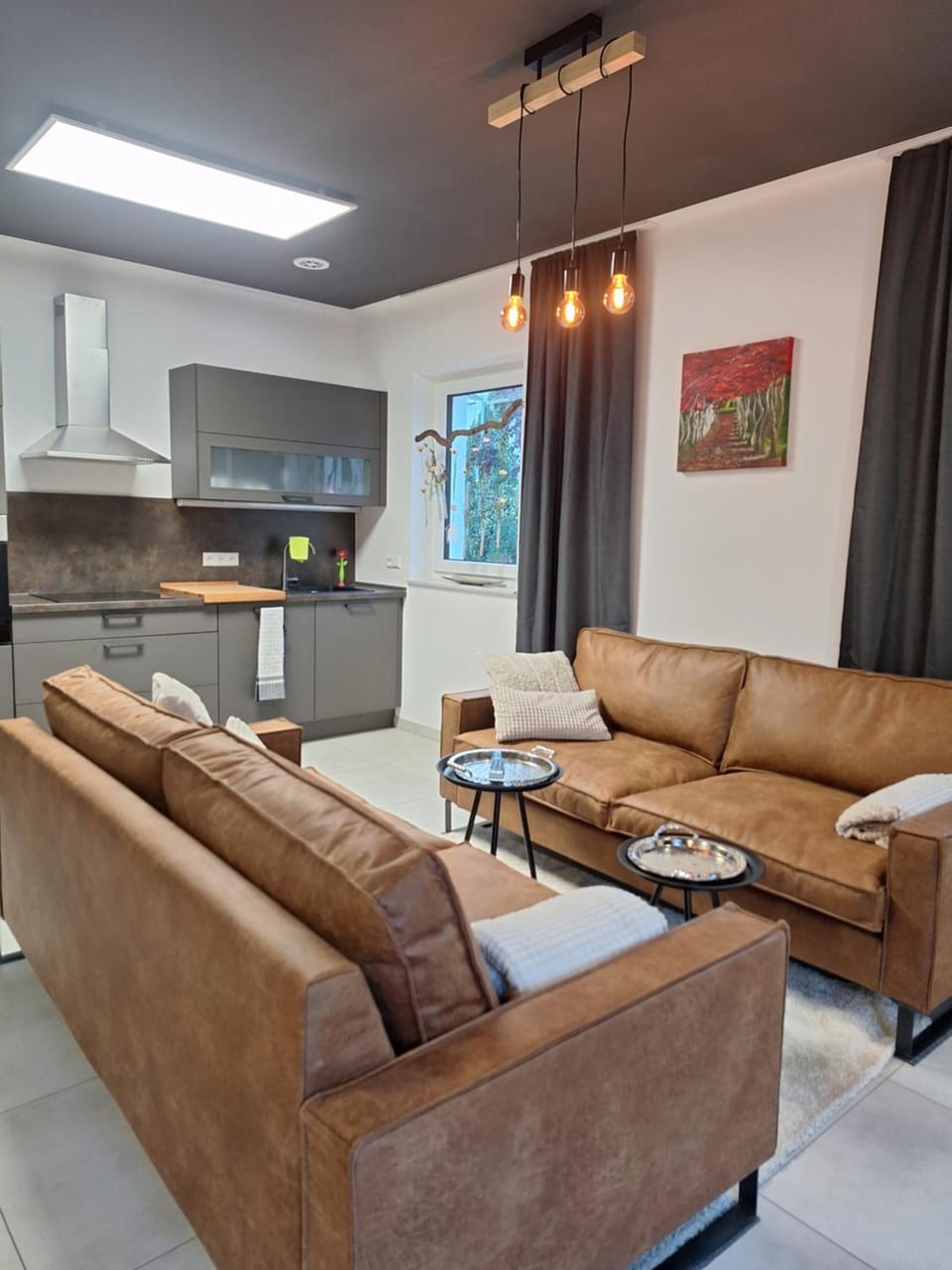 Kitchen or kitchenette, Living room, Seating area, Dining area, pet friendly, stove