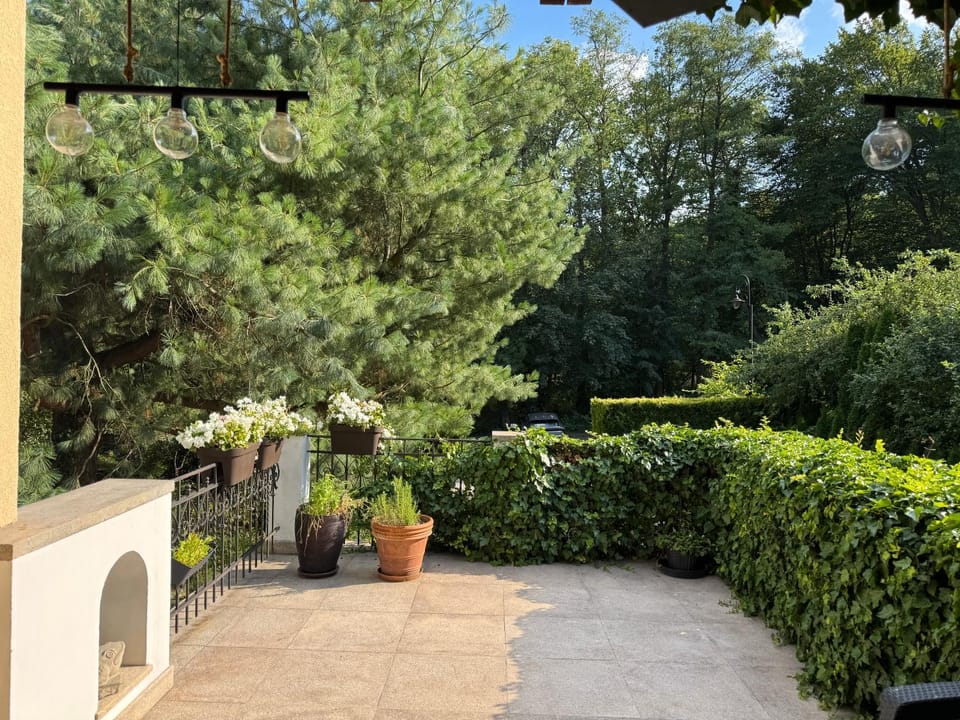 Day, Garden, Garden view