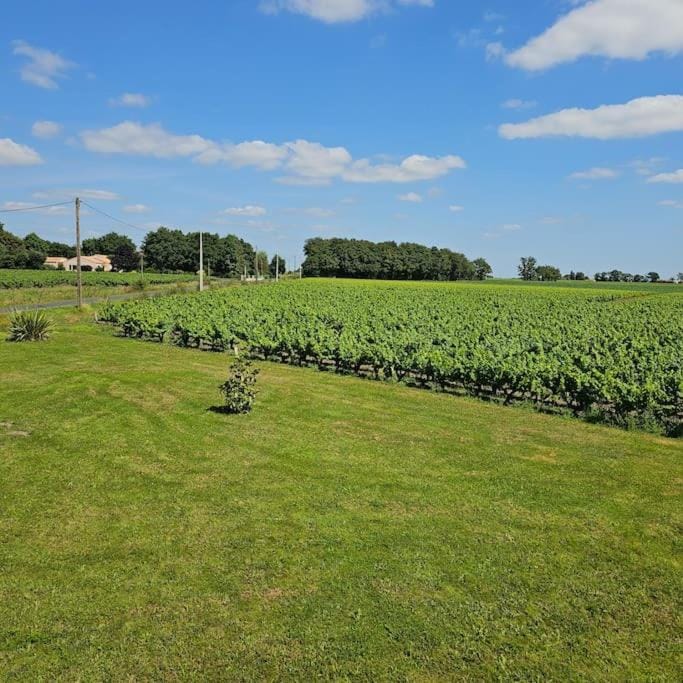 Chez Pascal Sissi -Au Coeur de Vignes, parking free Apartment in Pays de la Loire