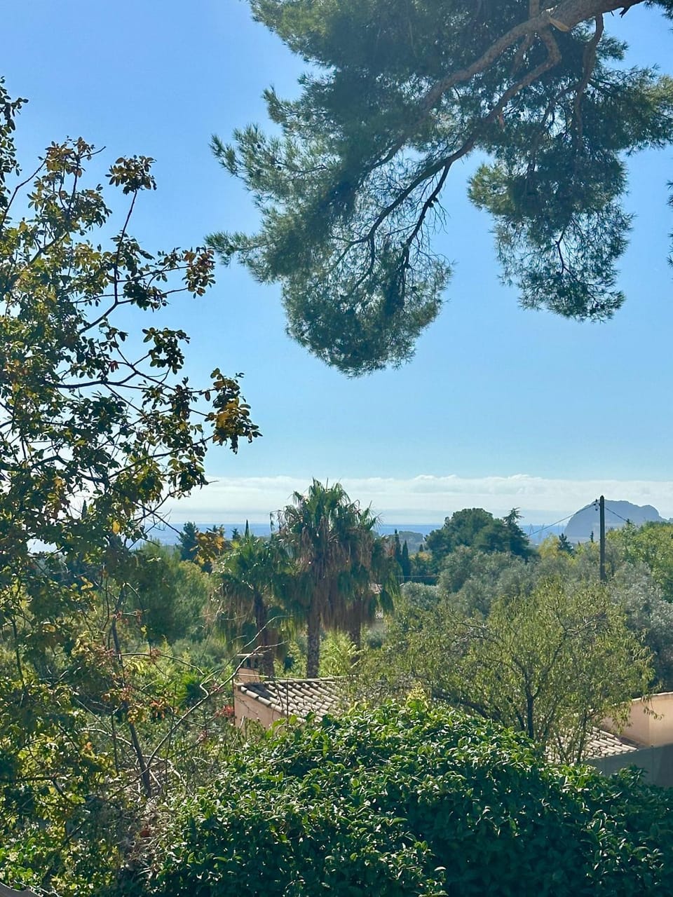 Natural landscape, View (from property/room)