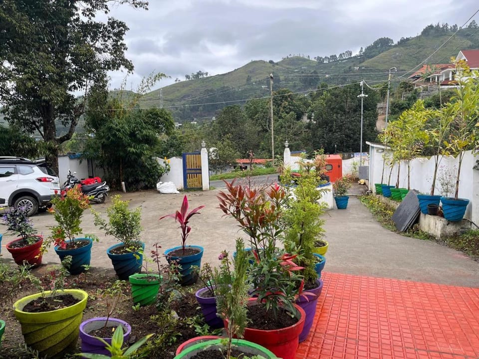 Garden, Garden view, Mountain view
