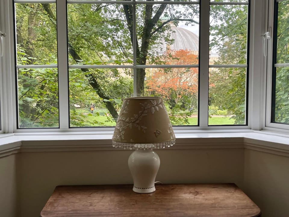 Garden view