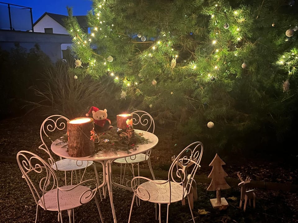 Garden, Garden, Garden view, Garden view