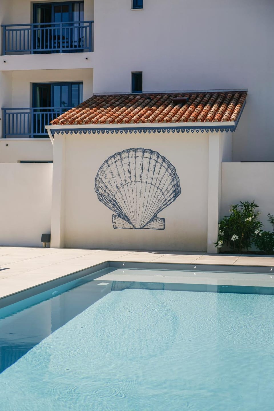 Swimming pool, Swimming pool
