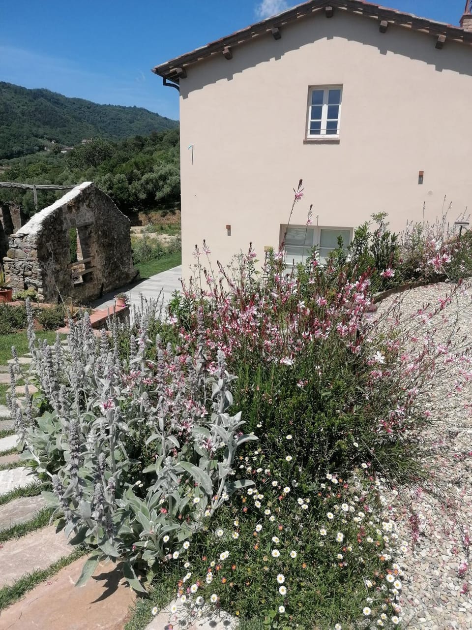 Property building, Garden view