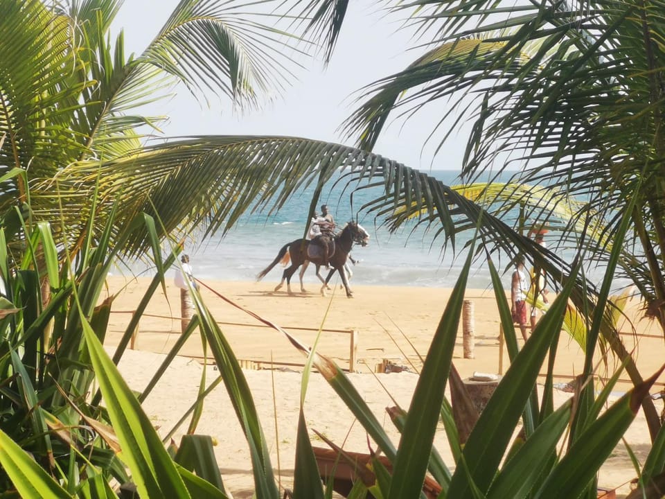 Natural landscape, Beach, Sea view