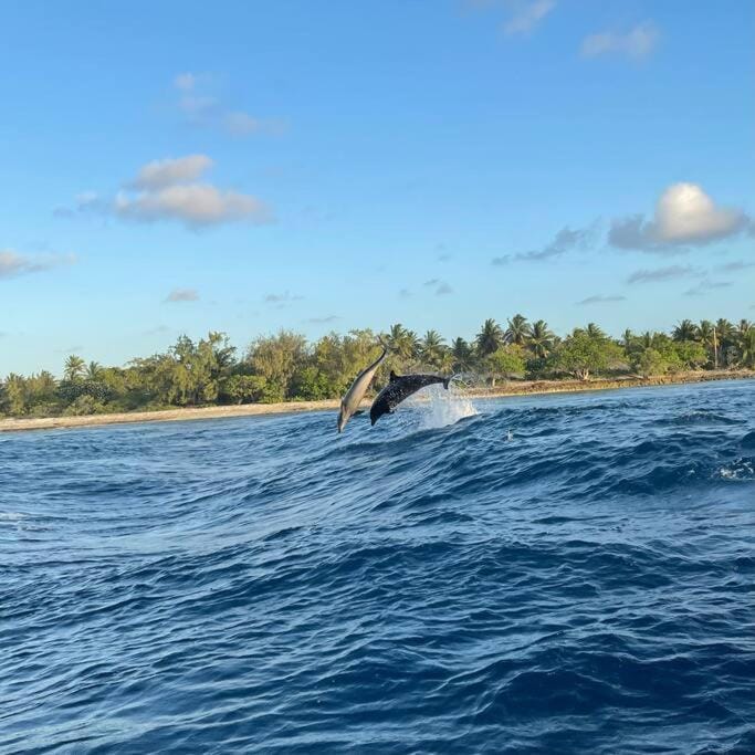 Bungalow sur la Passe de Tiputa Apartment in French Polynesia
