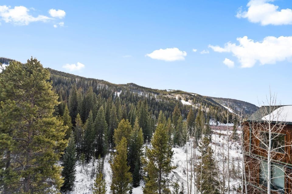 Inas Way Townhomes Unit B Villa in Keystone