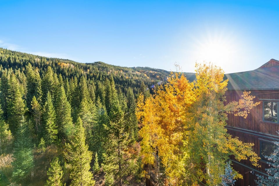 Day, Natural landscape, View (from property/room), Autumn, Mountain view