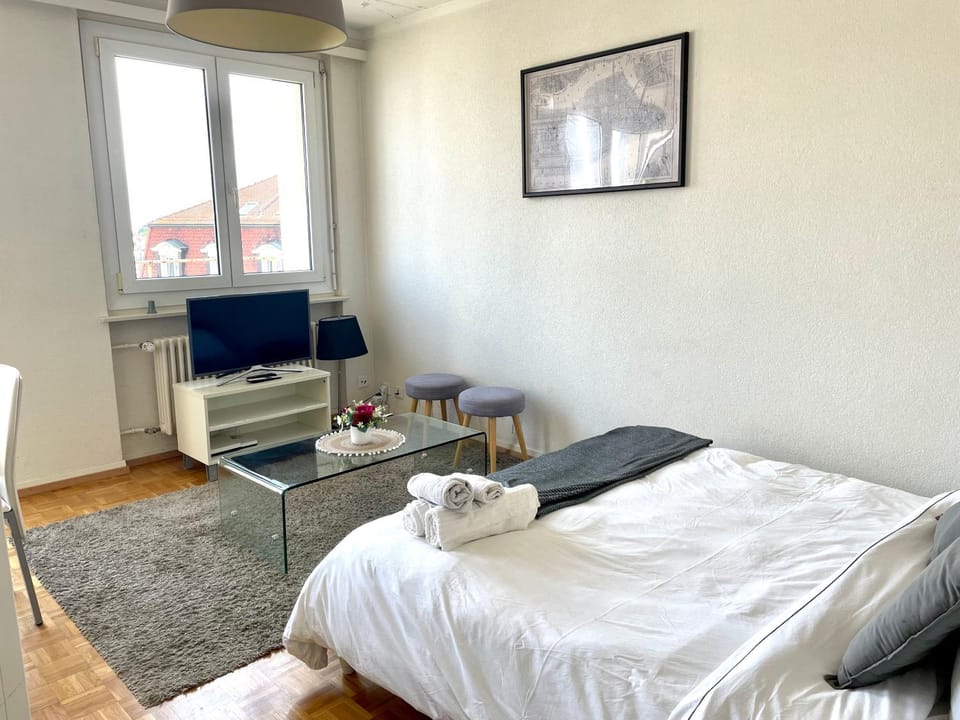 Beautiful studio 2 minutes from Lausanne Train Station Apartment in Lausanne