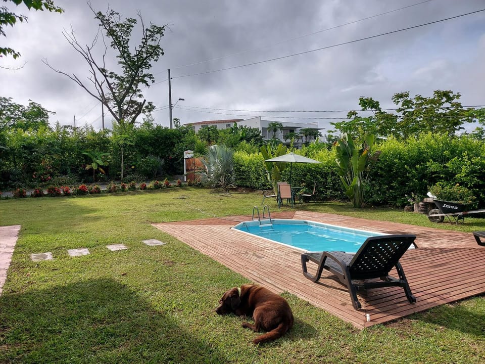 Garden, Swimming pool
