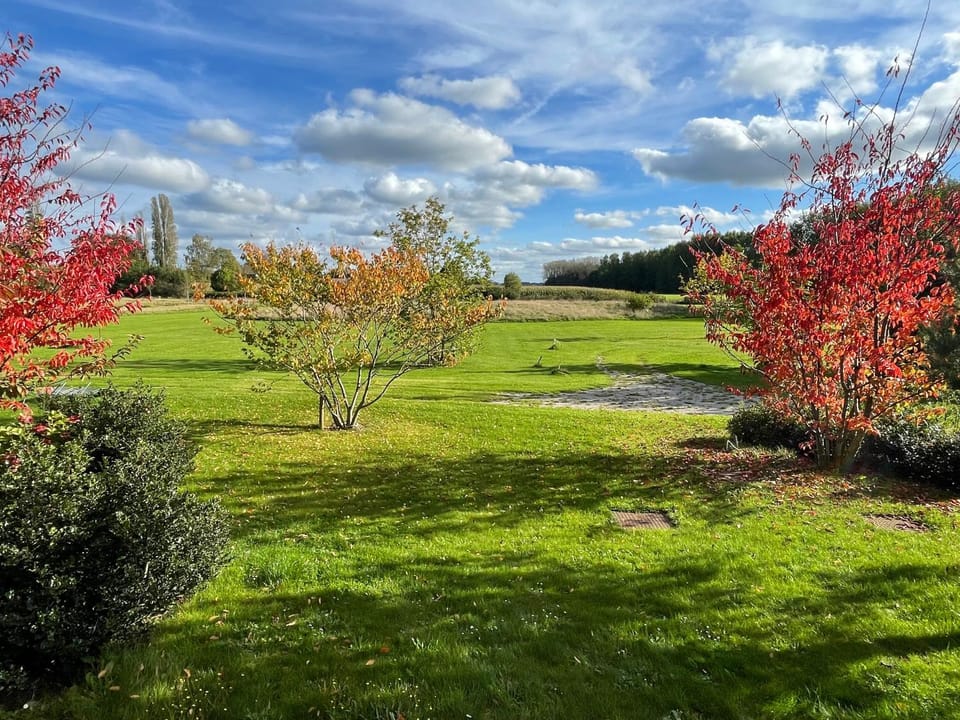 Natural landscape, Garden view