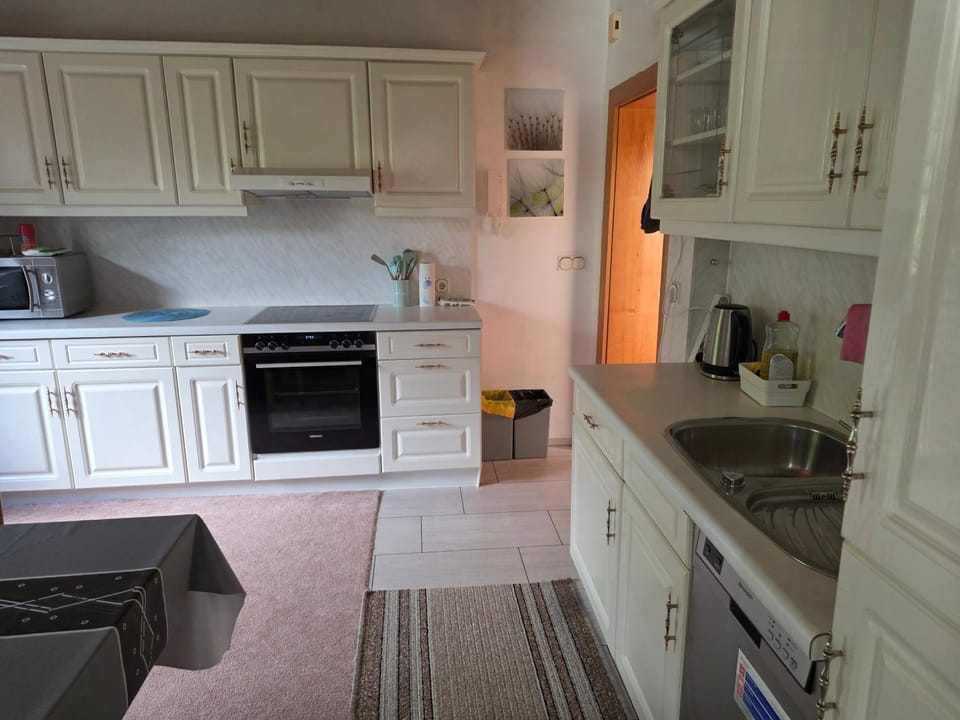 Ruhige ländliche Wohnung Apartment in Saxony