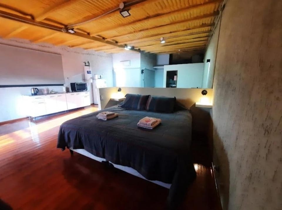 CaLuAnaBru Apartment in Malargüe