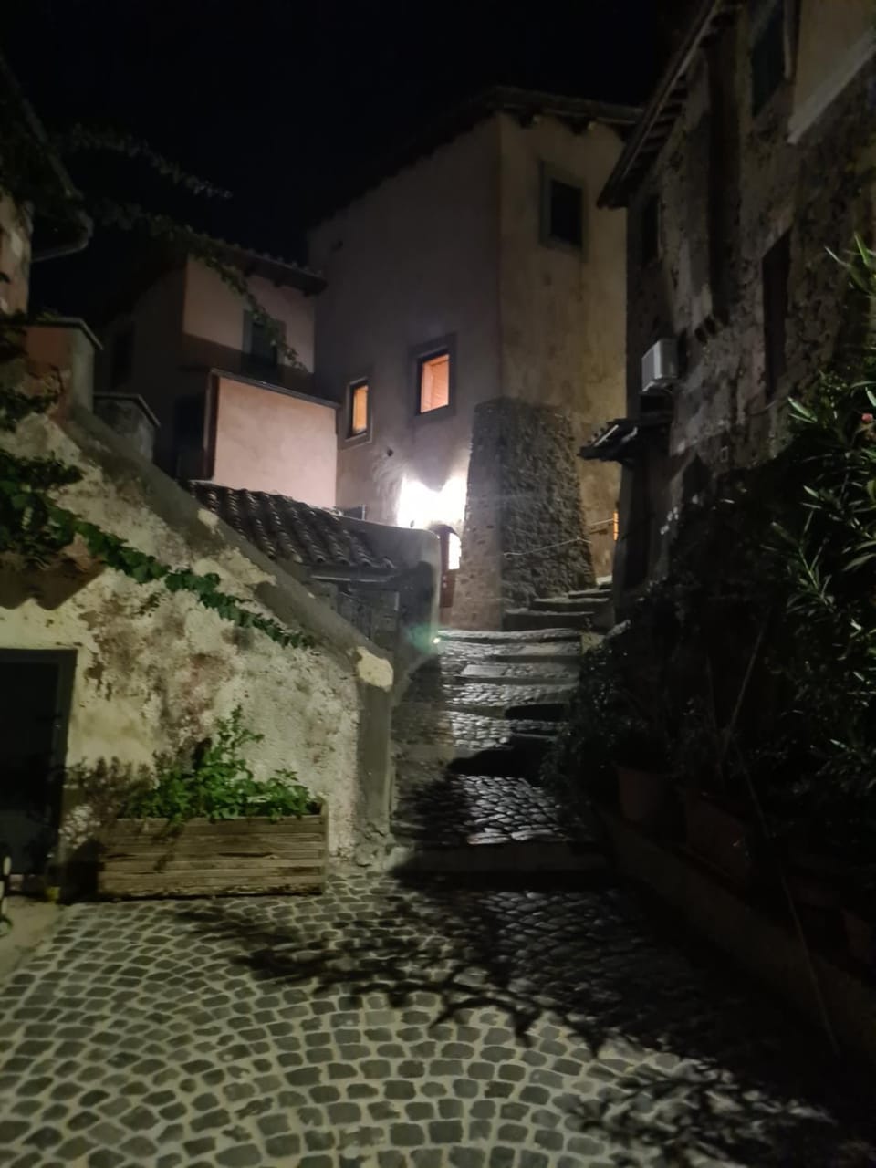 Il Palazzetto nel Borgo 2 Apartment in Anguillara Sabazia