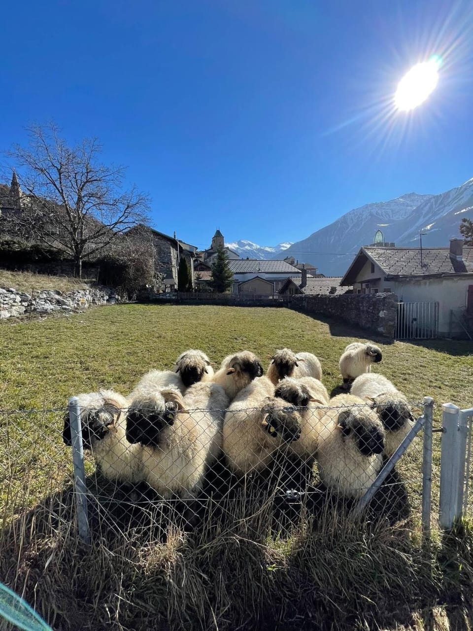 Stay in the Heart of Wallis Apartment in Canton of Valais