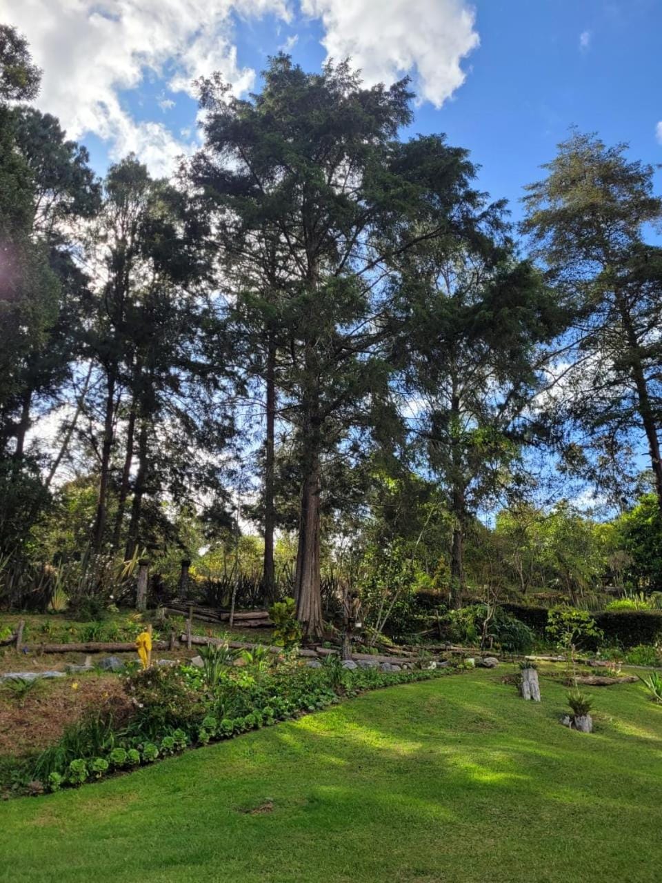 Natural landscape, Garden, View (from property/room), Garden view