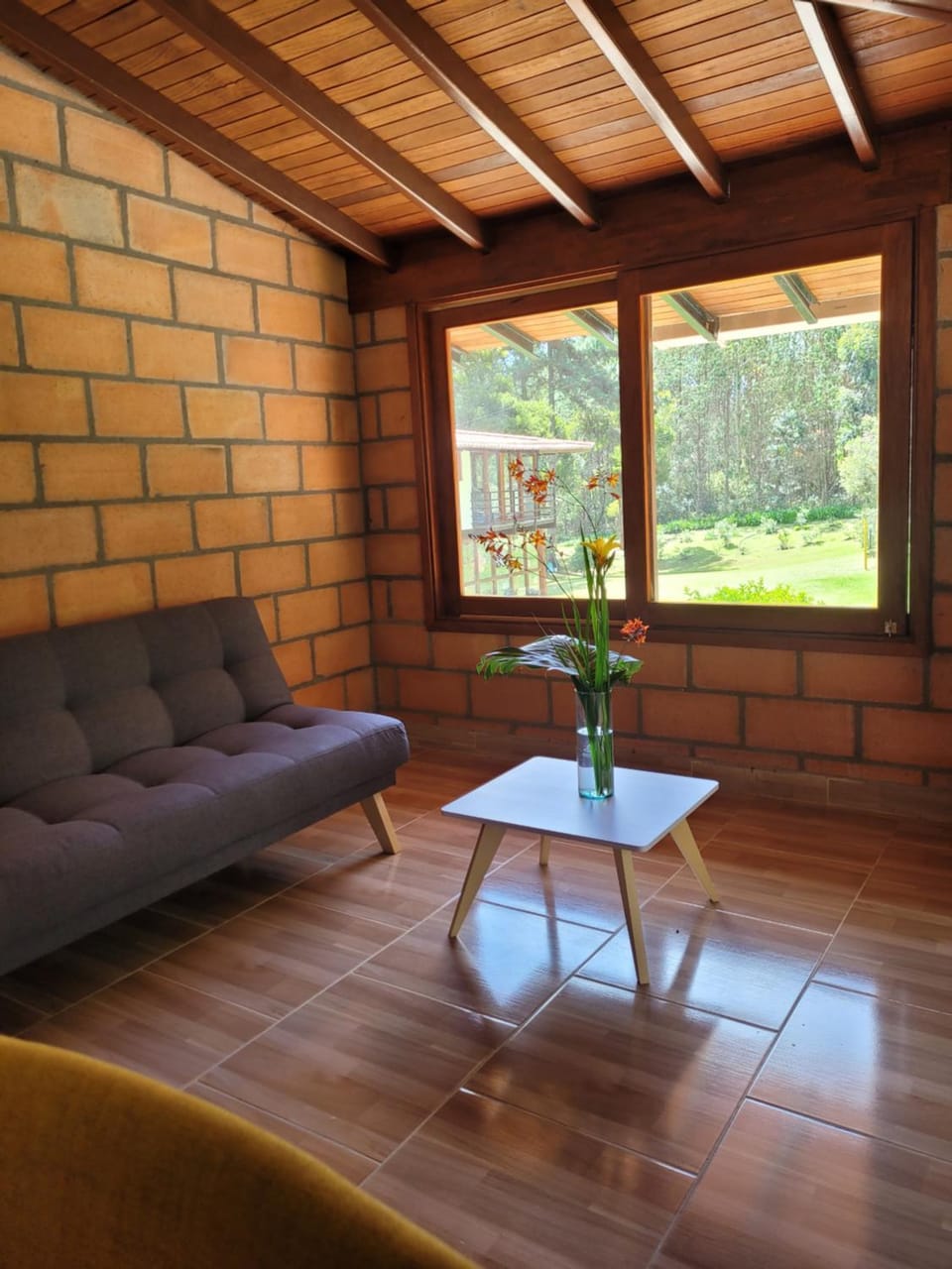 Garden, Living room, Dining area, Garden view
