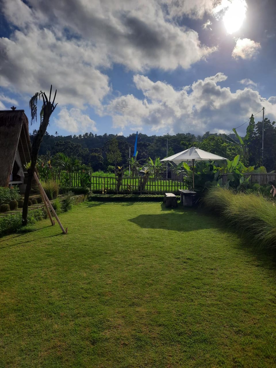 Garden view