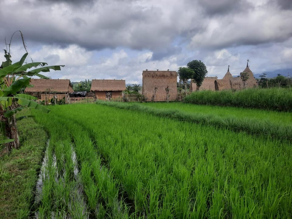 Natural landscape