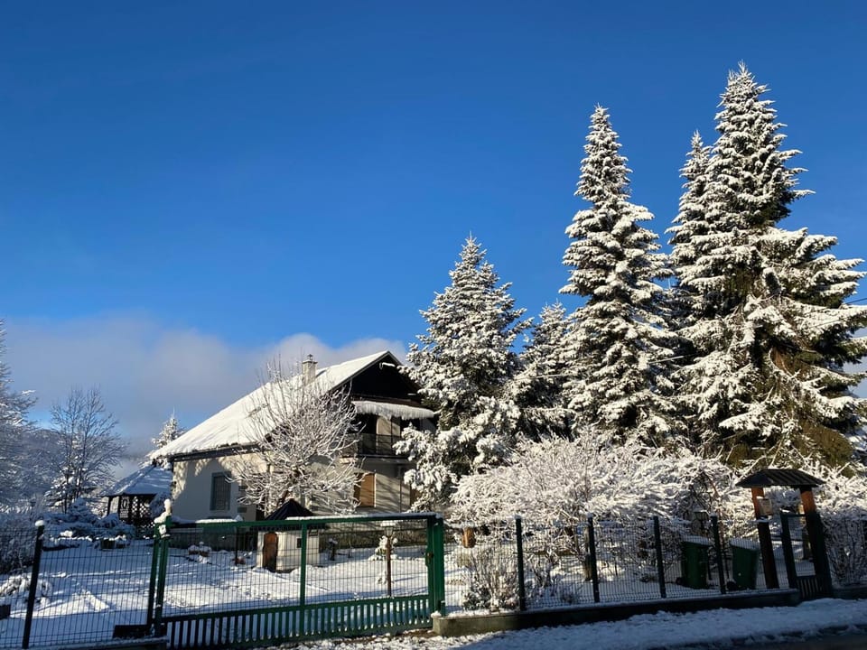 Winter