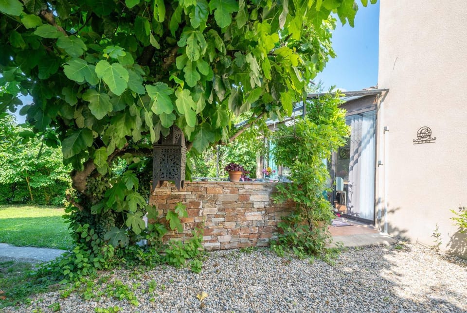Patio, Garden, Garden view