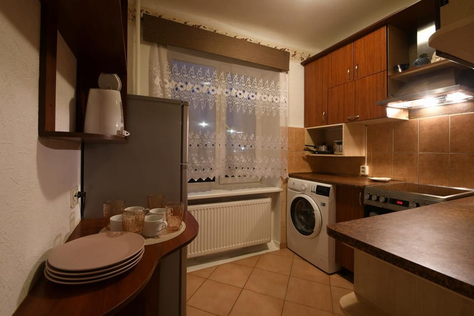 Ronu apartment Apartment in Latvia