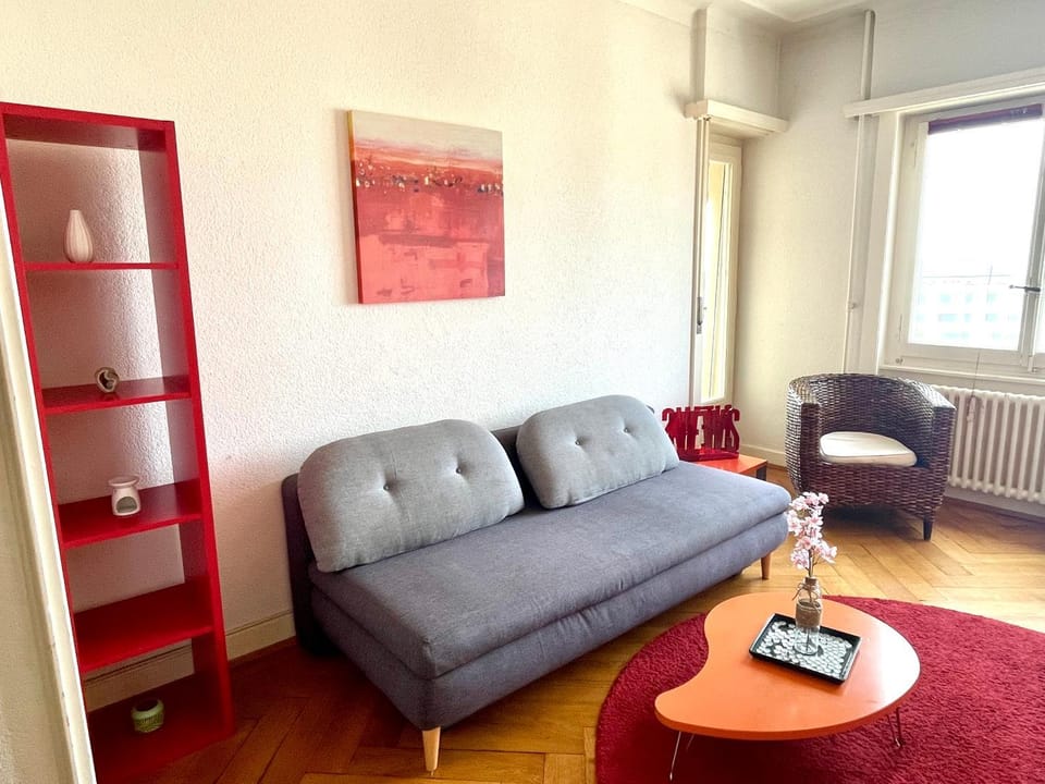 La proximité du centre avec vue Apartment in Lausanne