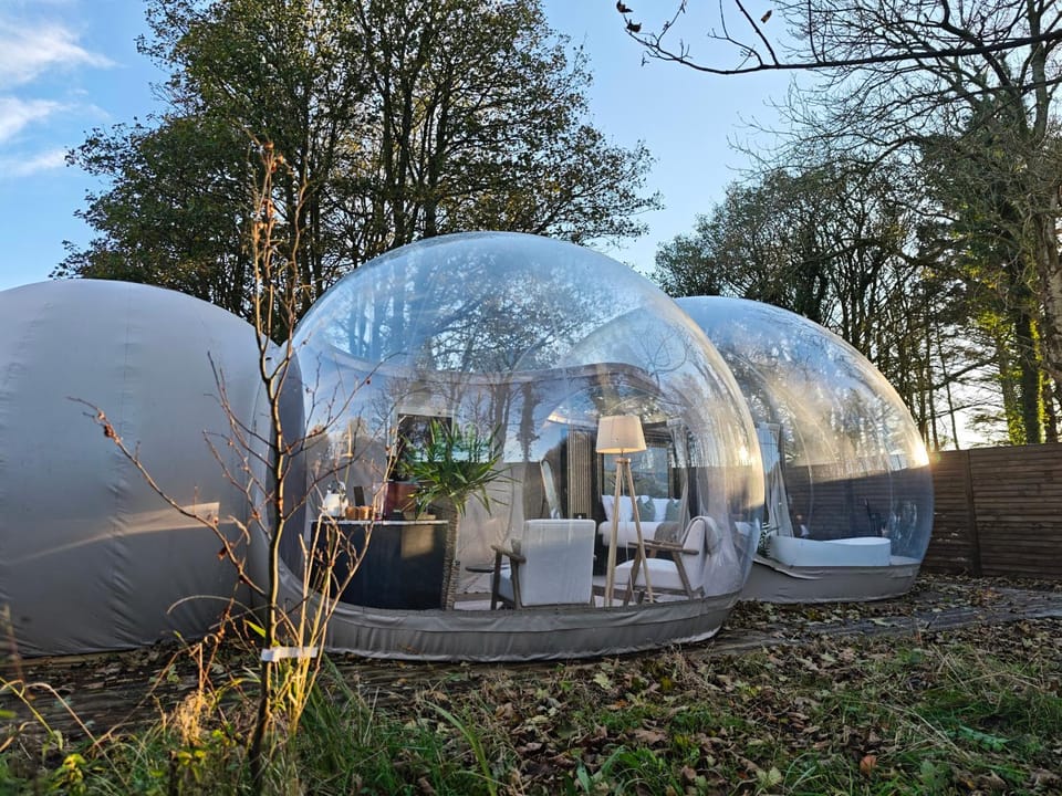 Patio, Day, Garden, Garden view