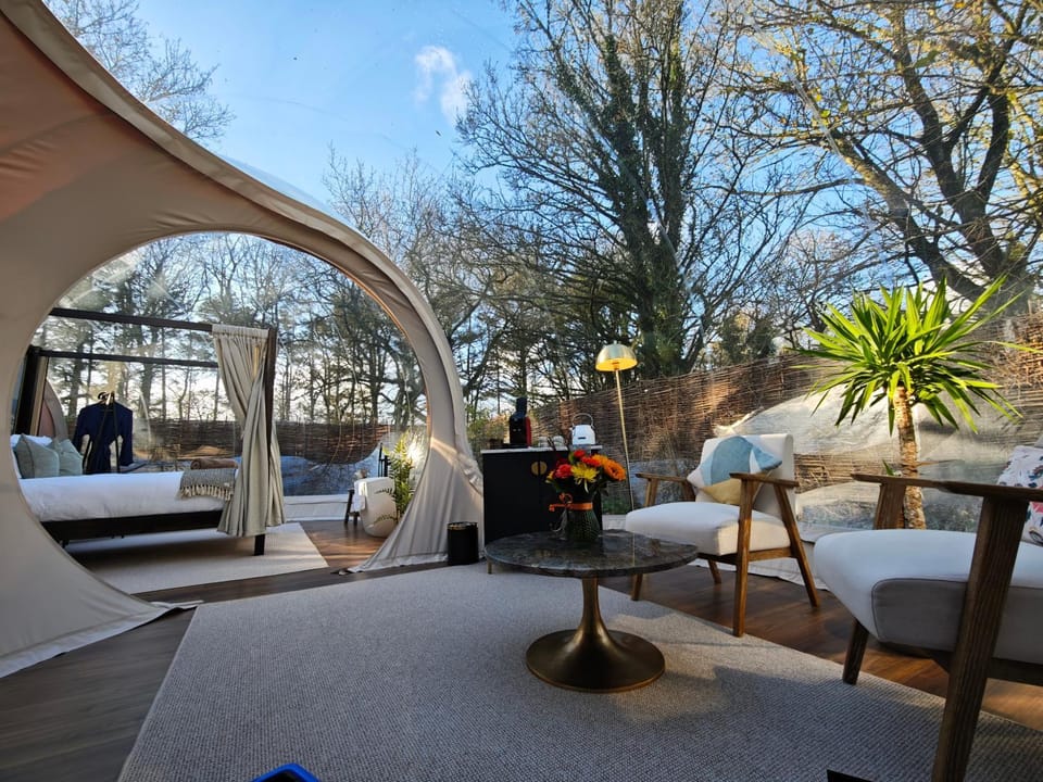 Living room, Seating area, Garden view