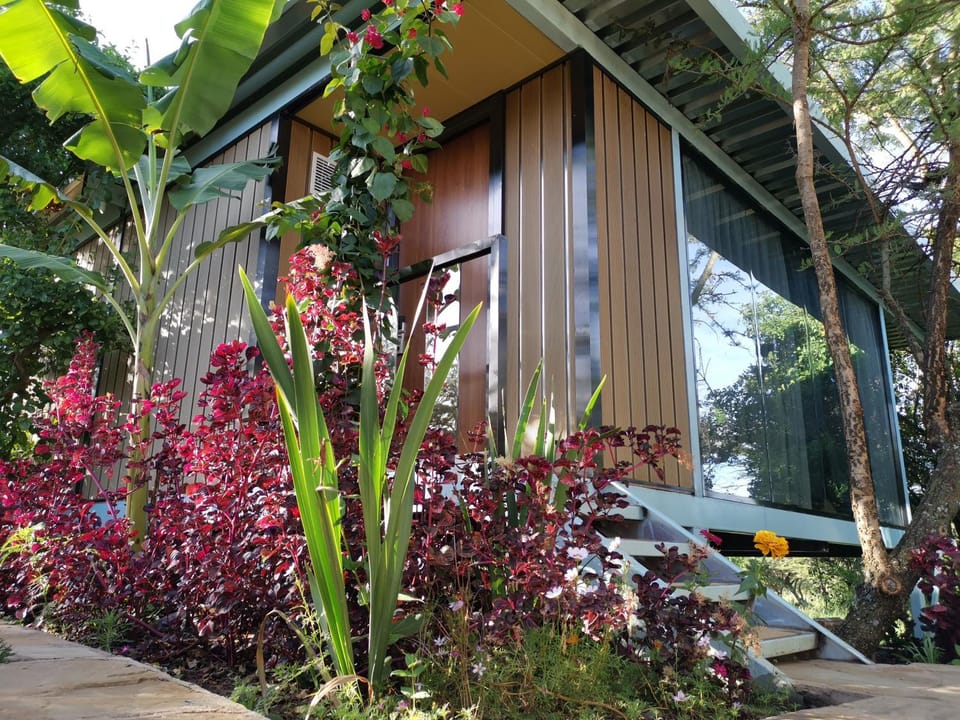 Property building, Garden
