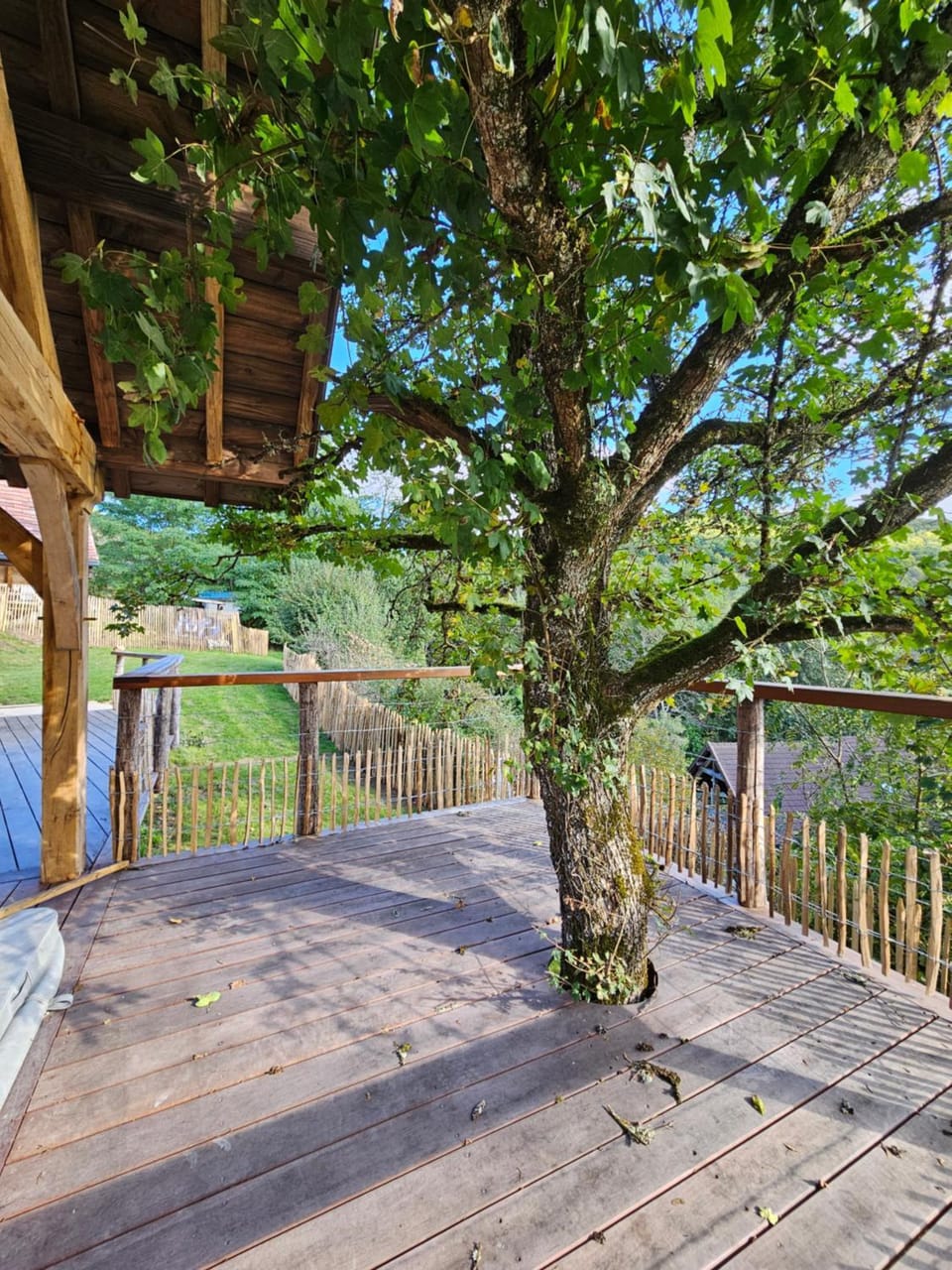 Spring, Day, Natural landscape, Garden, View (from property/room), Balcony/Terrace, Garden view