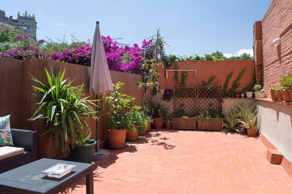 Spring, Day, Balcony/Terrace, Photo of the whole room
