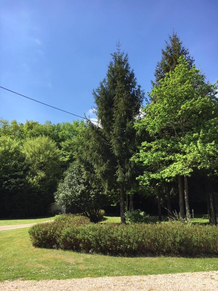 Garden, Garden view