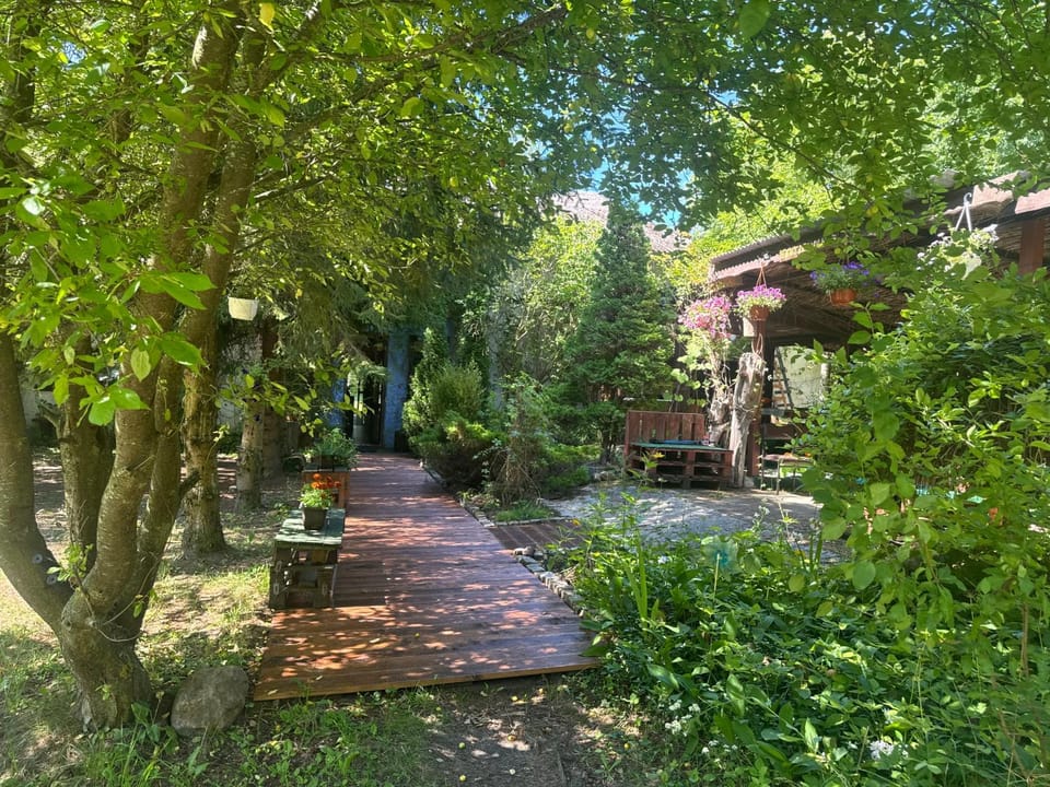 Agroturystyka Kociewiak Farm Stay in Pomeranian Voivodeship