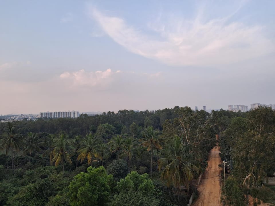 Natural landscape