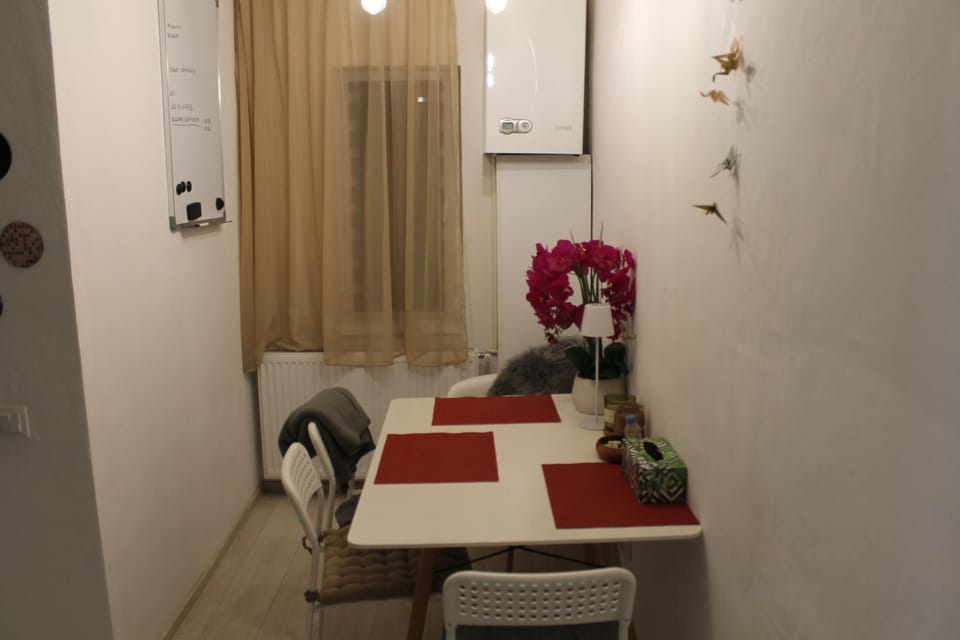 Jasmine's Home Apartment in Brașov County