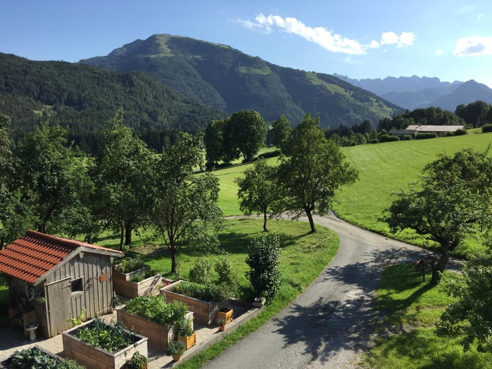 Nearby landmark, Day, Natural landscape, Summer, Garden view, Mountain view