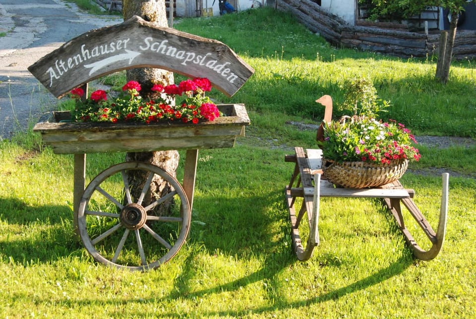 Summer, Garden