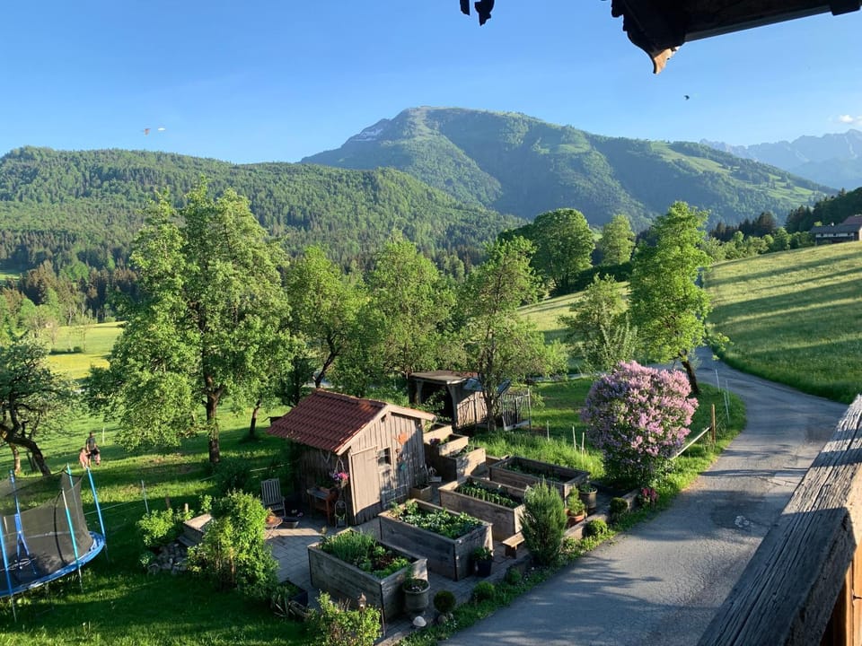 Day, Natural landscape, Bird's eye view, Garden, Garden view, Mountain view
