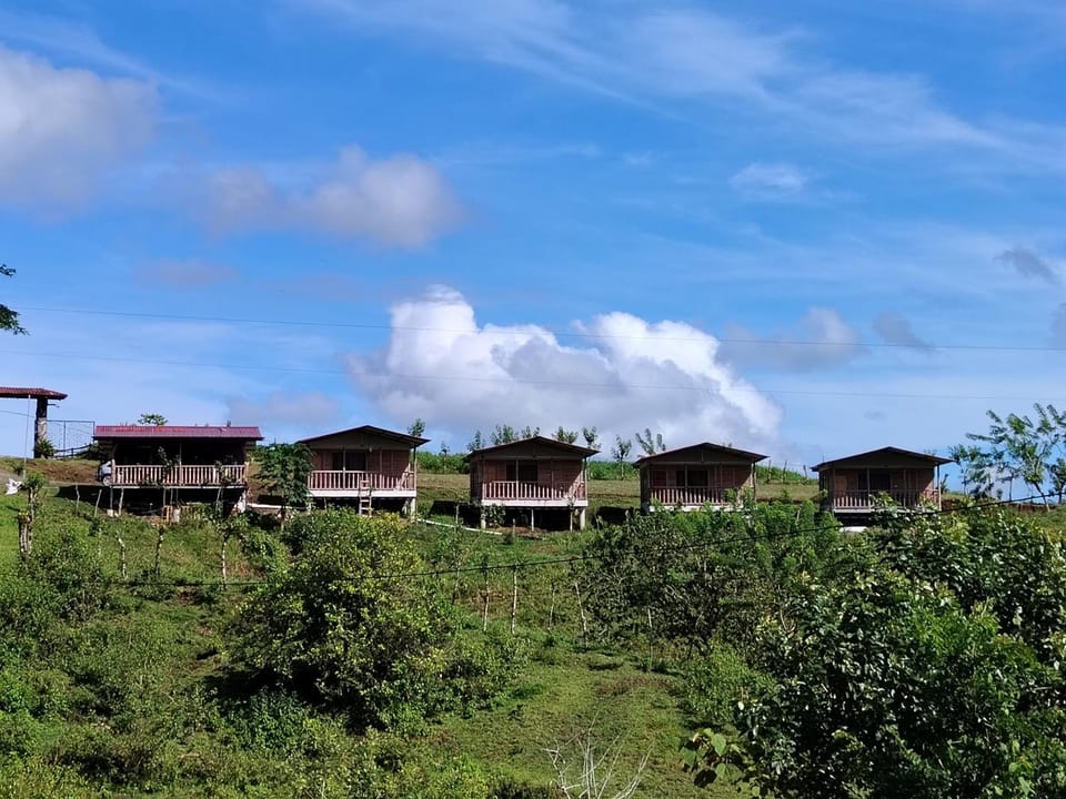 Cabañas venado Apartment in Alajuela Province