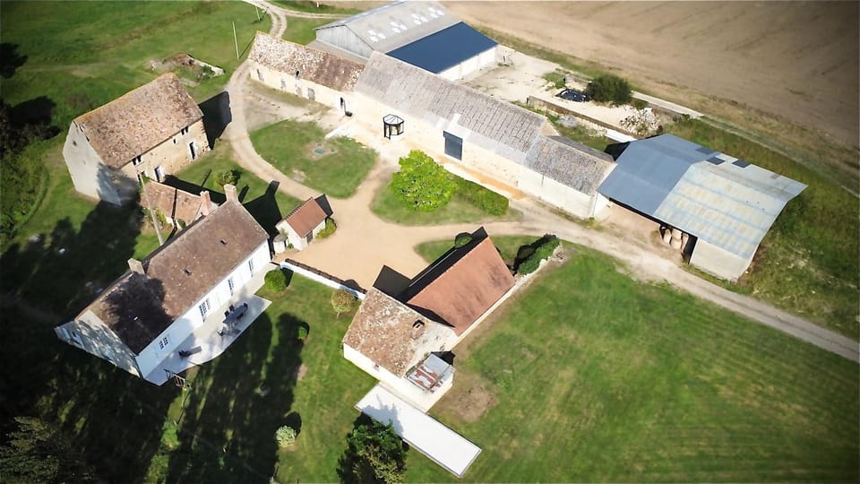 Bird's eye view, Garden