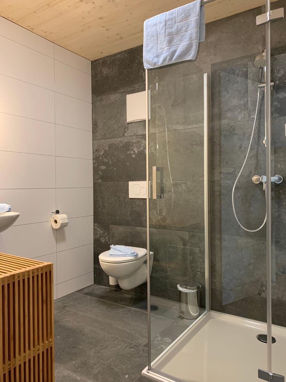 Shower, Toilet, Bathroom, towels