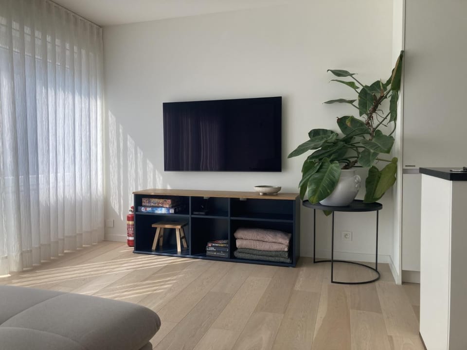 TV and multimedia