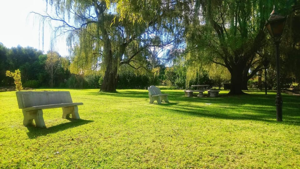 Day, Natural landscape, Garden, River view