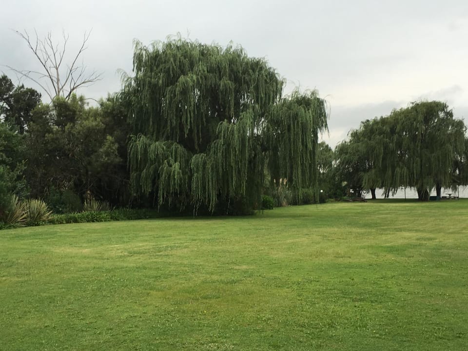 Day, Natural landscape, Garden, Garden, Garden view