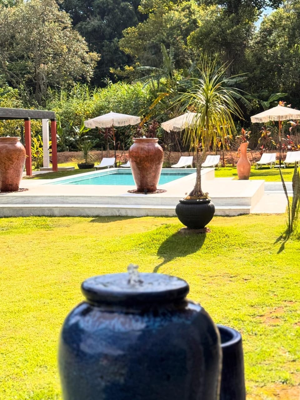 Day, Natural landscape, Garden, Garden view, Pool view, Swimming pool, sunbed
