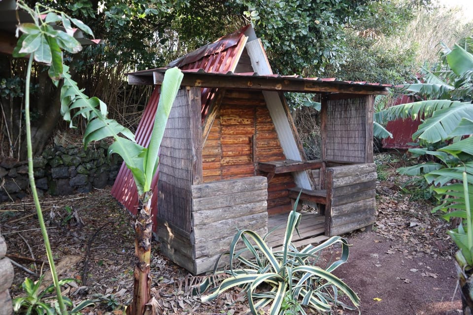 Banana Eco Camp Campground/ 
RV Resort in Azores District